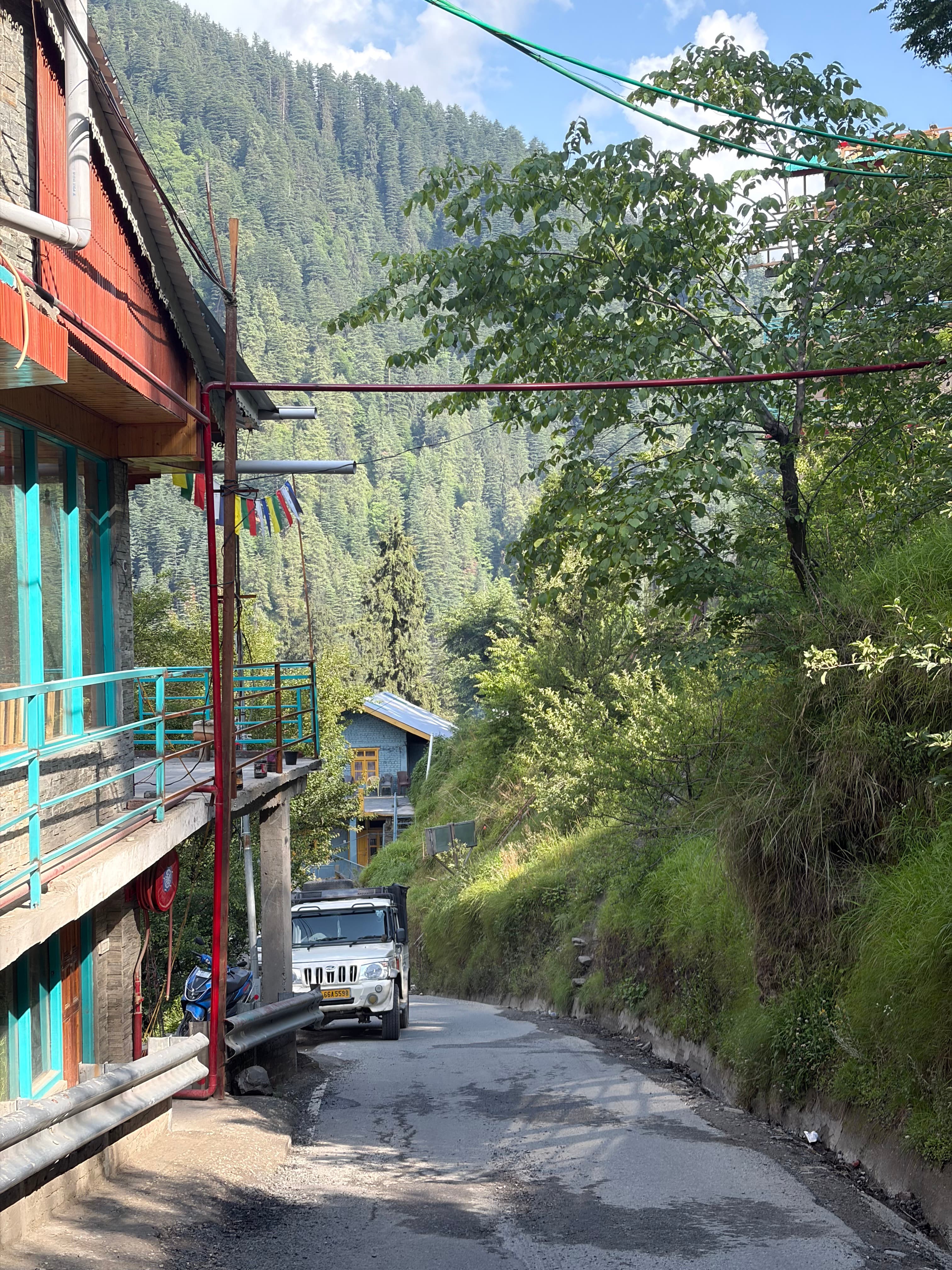 A quiet road through the greenery of Jibhi